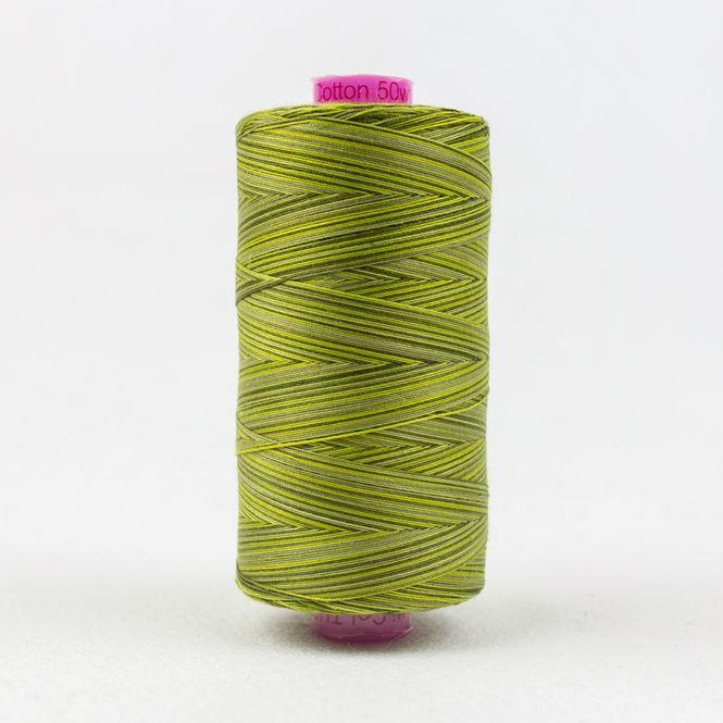 Hovedbilde Tutti Moss