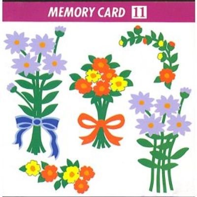 Janome Memory Card 11 - Big Floral Series (2B0)
