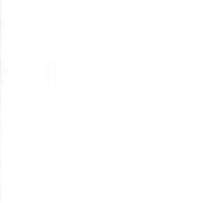 Hovedbilde Grunge - White paper 30150-101