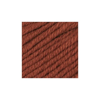 Merino 22 - Brent kobber 2009