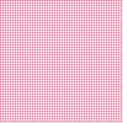 Flourish Gingham Y4098-74 Raspberry