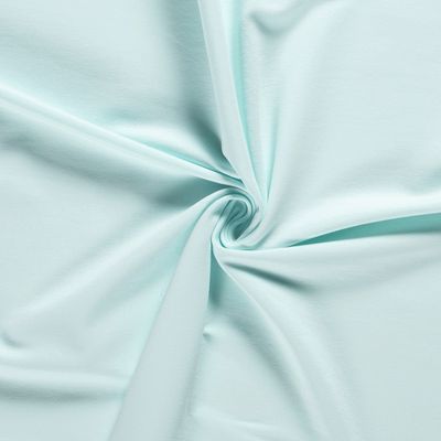 FRENCH TERRY Mint