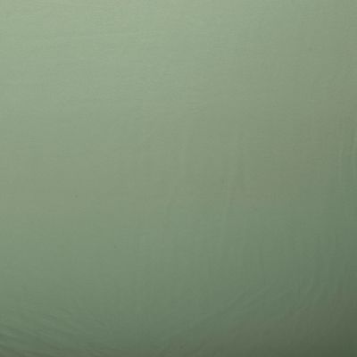 FRENCH TERRY Dark mint